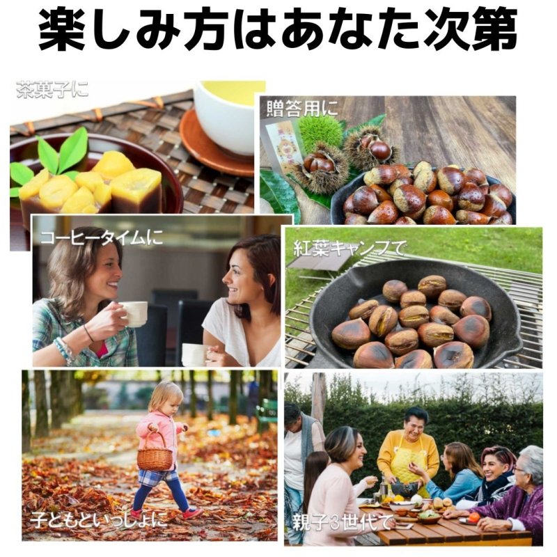 幻の栗⭐︎中山栗2L~4L混合5kgクール便（匿名不可）農家直送2025-016 2025シーズン到来】農家こだわりの「濃厚栗」大きめ2Lサイズ以上