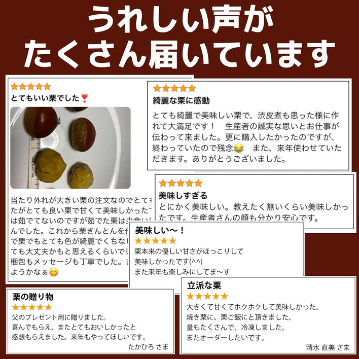【2025シーズン到来】農家こだわりの「濃厚栗」大きめ2Lサイズ以上