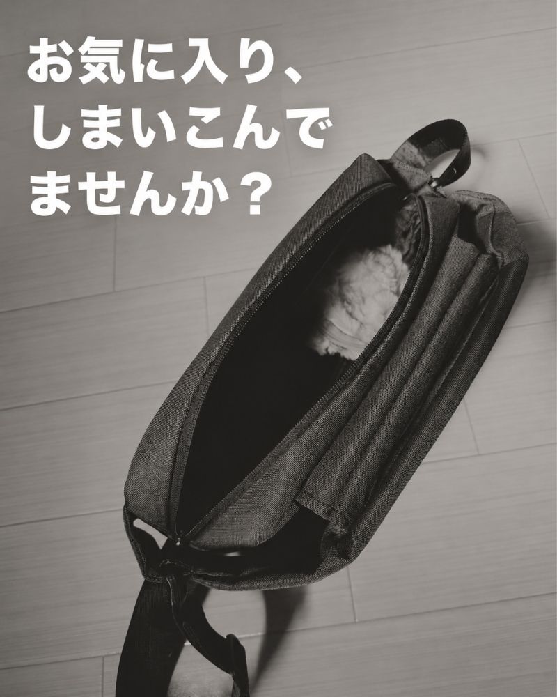 3.jpg__PID:731df65b-32a8-4d9d-a667-7d1212378773