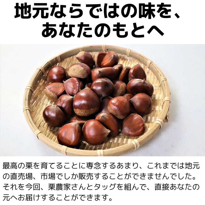 【2025シーズン到来】農家こだわりの「濃厚栗」大きめ2Lサイズ以上