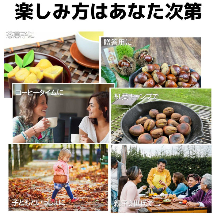 【2025シーズン到来】農家こだわりの「濃厚栗」大きめ2Lサイズ以上