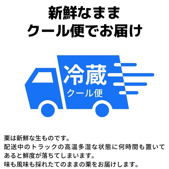 【2025シーズン到来】農家こだわりの「濃厚栗」大きめ2Lサイズ以上