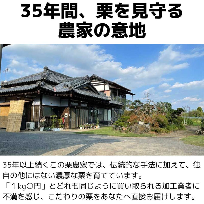 【2025シーズン到来】農家こだわりの「濃厚栗」大きめ2Lサイズ以上