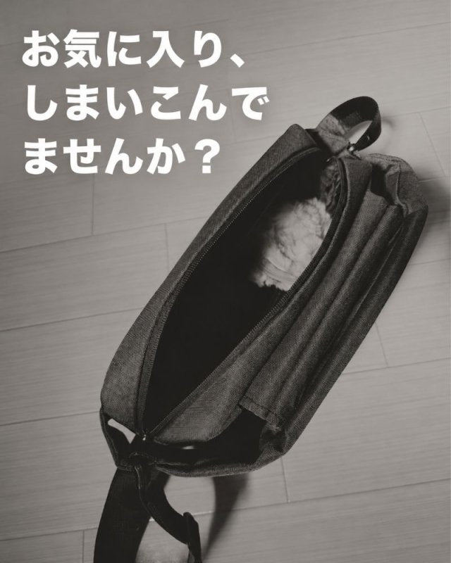 【NEW】ベルトに