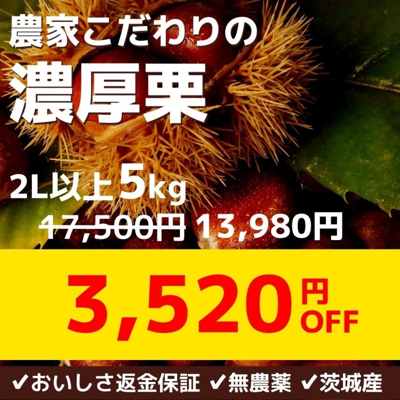 【選べるおまけ】他とは違う超こだわりの逸品！ 200年農家のさがびより20kg 楽天市場】【ふるさと納税】令和6年度産 佐賀県認定！ 特別栽培