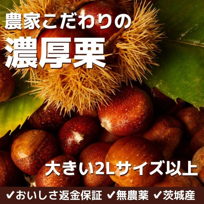 【完売御礼2024】農家こだわりの「濃厚栗」大きめ2Lサイズ以上 - NIGオンラインストア