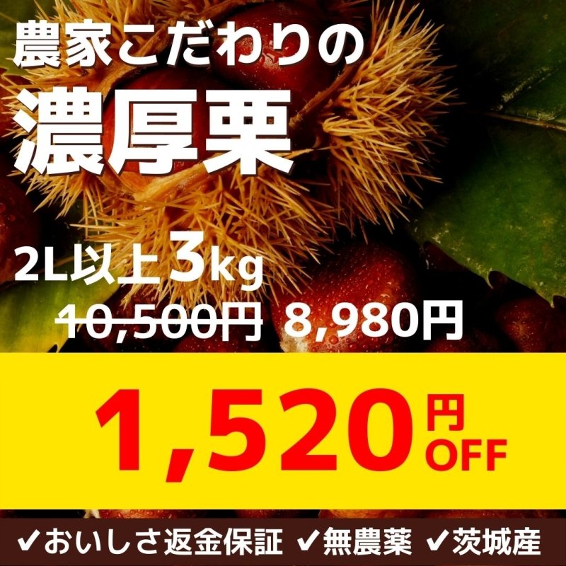 今話題のアイテムを 完売御礼2024】農家こだわりの「濃厚栗」大きめ2Lサイズ以上 薪（まき）
