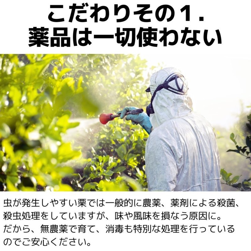 ○○日寝かせて高圧で蒸し焼きにした、こだわりの熟成濃厚焼き栗 - NIGオンラインストア