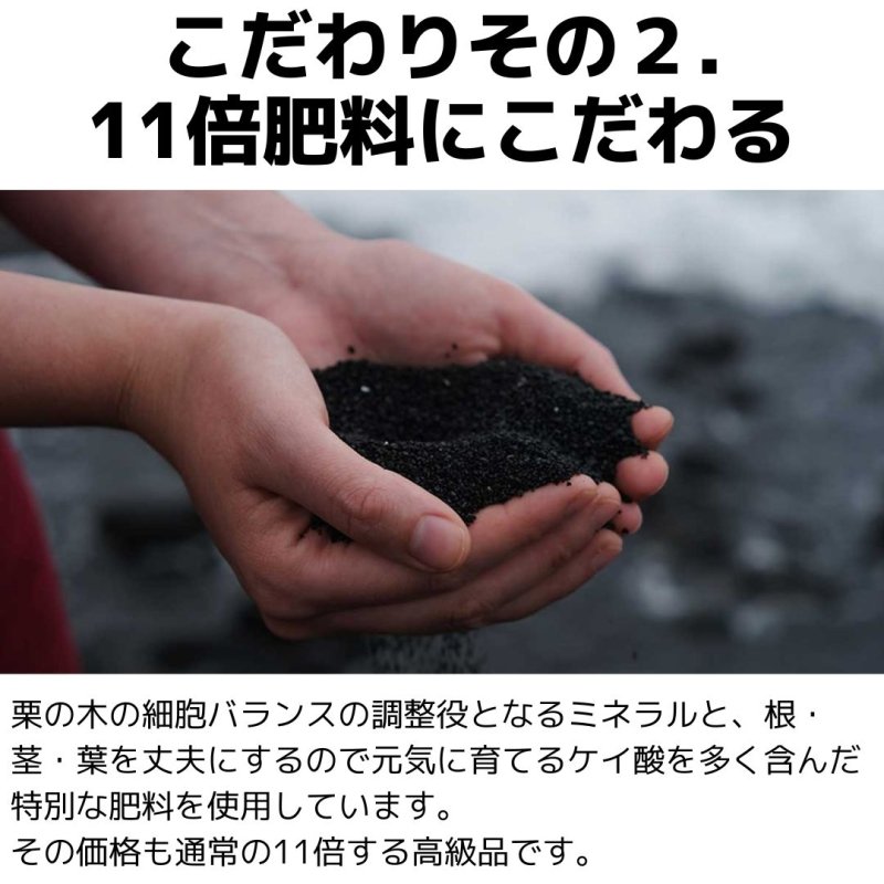 ○○日寝かせて高圧で蒸し焼きにした、こだわりの熟成濃厚焼き栗 - NIGオンラインストア