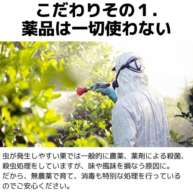 ○○日寝かせて高圧で蒸し焼きにした、こだわり濃厚焼き栗(小中粒) - NIGオンラインストア