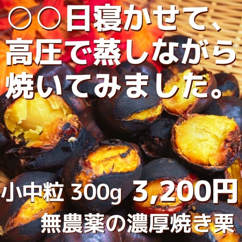 ○○日寝かせて高圧で蒸し焼きにした、こだわり濃厚焼き栗(小中粒) - NIGオンラインストア