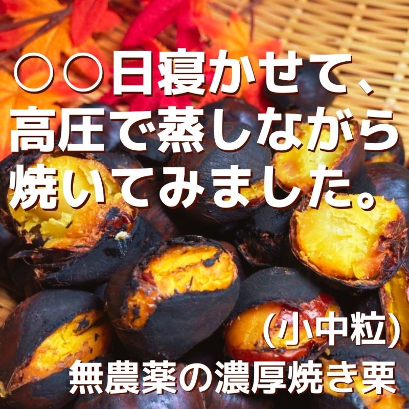 ○○日寝かせて高圧で蒸し焼きにした、こだわり濃厚焼き栗(小中粒) - NIGオンラインストア