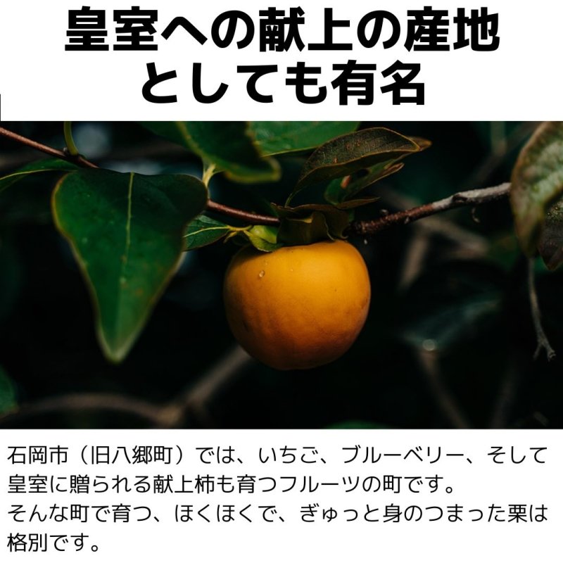 ○○日寝かせて高圧で蒸し焼きにした、こだわりの熟成濃厚焼き栗 - NIGオンラインストア